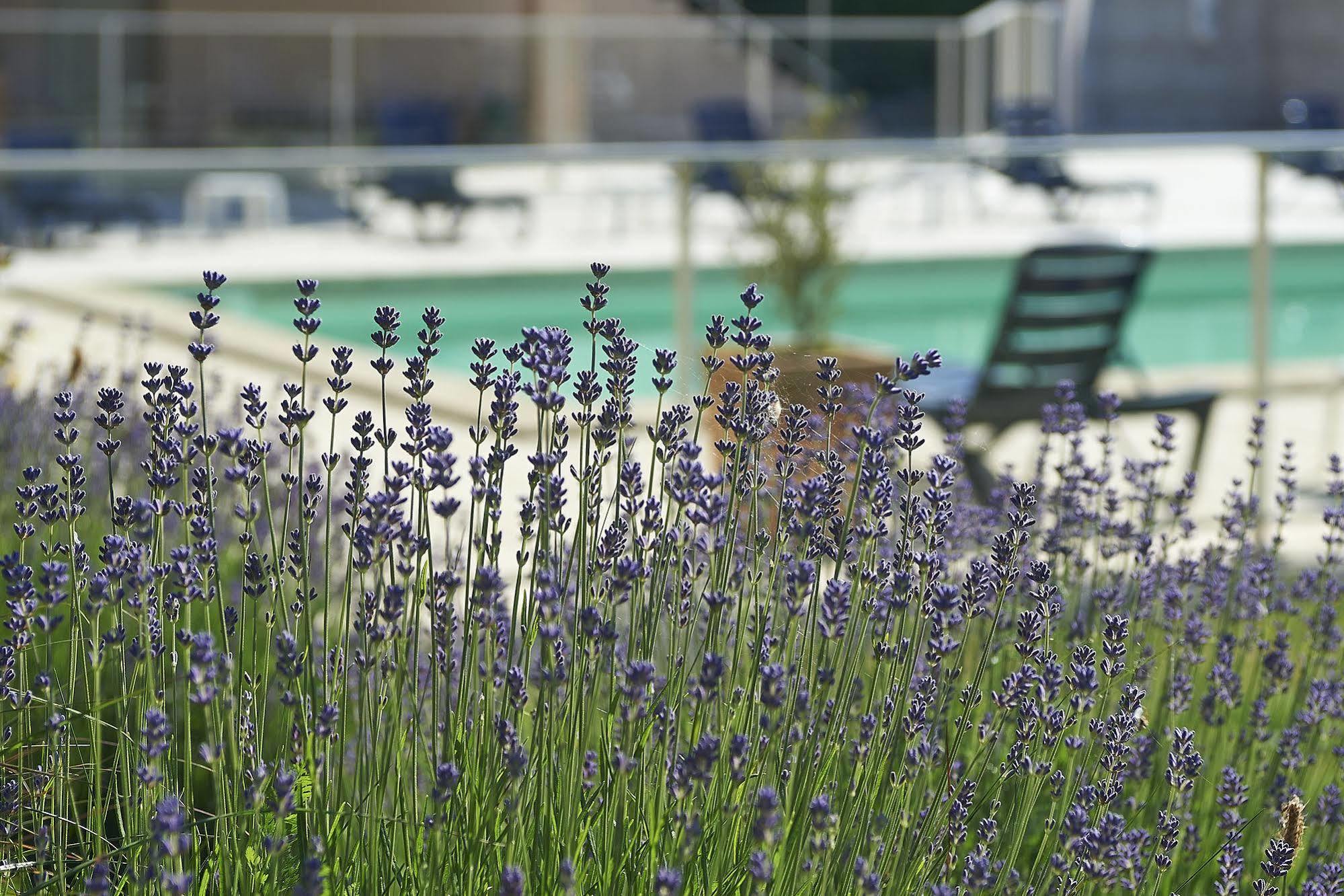 Cit'Hotel Les Alizés Limoges Esterno foto